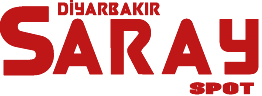 diyarbakir_saray_evkur